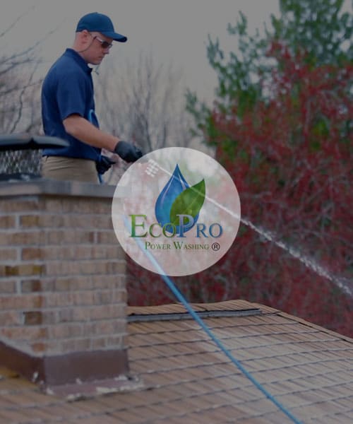 professional washing roof of home