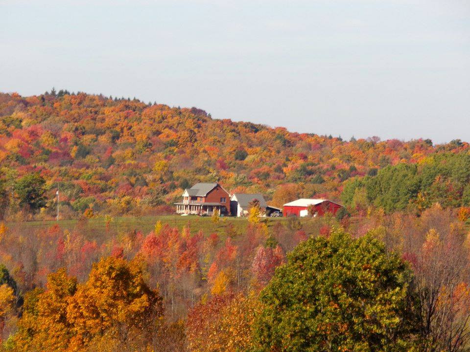 Endwell, NY with colorful trees